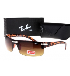 Ray-ban Glasses-1279