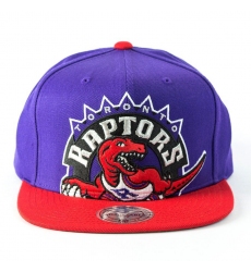 NBA Toronto Raptors Hats-906