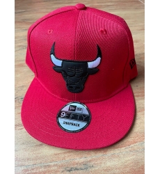 NBA Chicago Bulls Hats-933